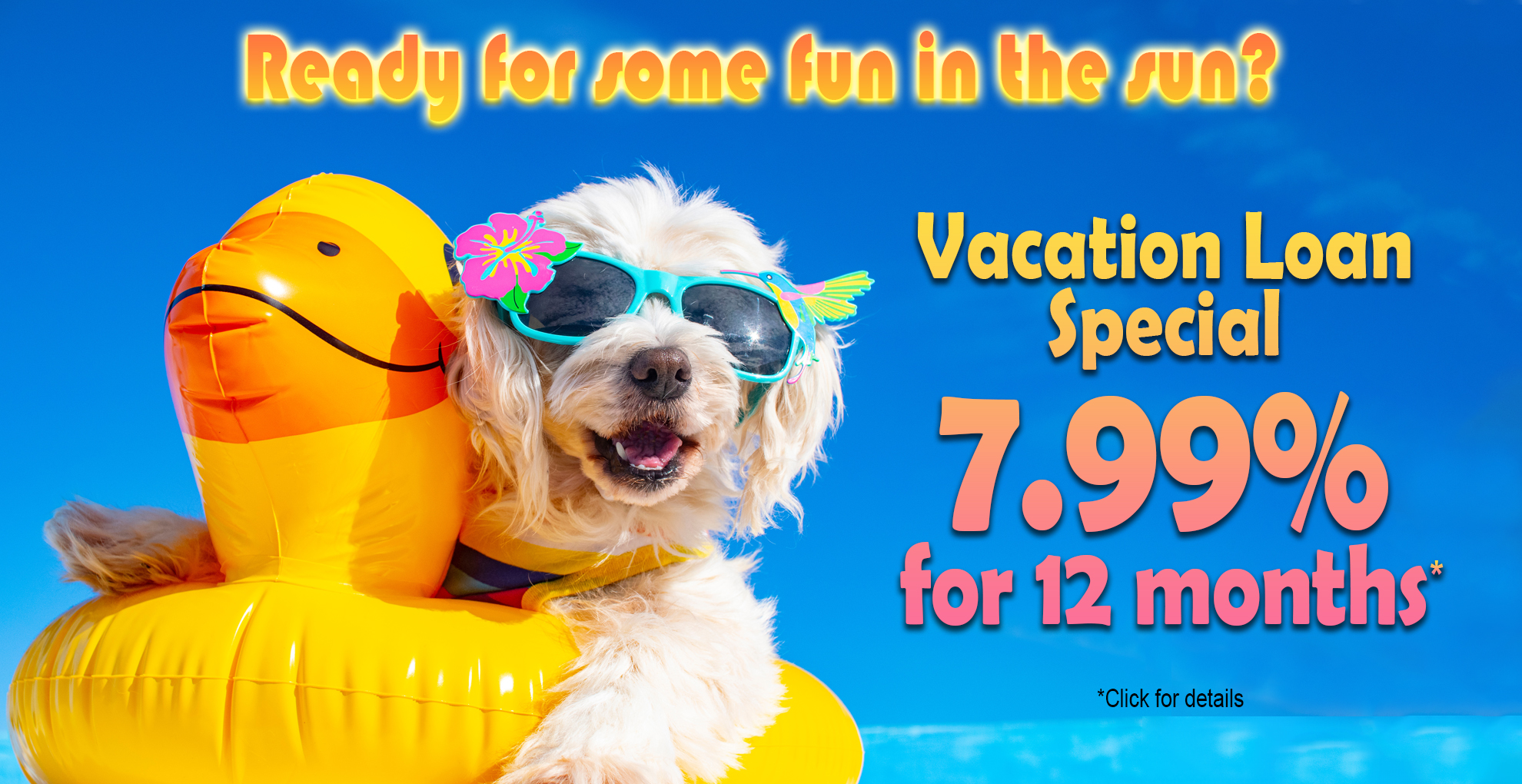 Image: A small white dog wearing sunglasses, sitting in a duck-shaped pool float. Text: Ready for some fun in the sun? Vacation Loan Special. 7.99% APR for 12 months. Click for details.